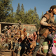 Image for article titled Kotaku 'Shop Contest: Give Me All The Dogs, Winners!